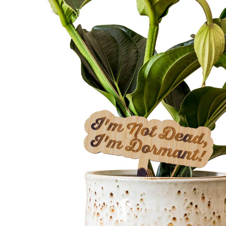 Cartello Premium in Bambù - Non sono morto, sono dormiente per la vendita all'ingrosso da parte di Floratrel