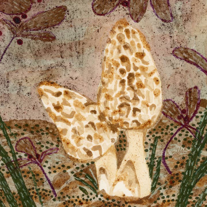 H Miller Ink Illustration Art wholesale products - Wholesale Art Print - Cottagecore Mushrooms | Art Print | Wall Art & Home Decor2