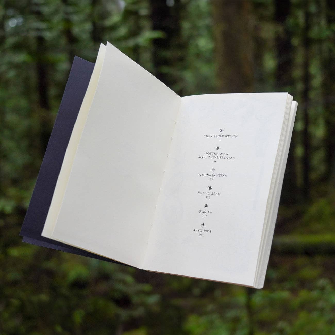 Poesis - Wholesale Poetry & Drama - Poesis - Visions in Verse Book2