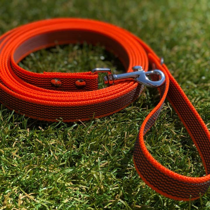 Four Paws Boutique – Engroshandel Hundesnor - Hund – Hundesnor - Skridsikker snor - Orange - Træning - Tracking Line