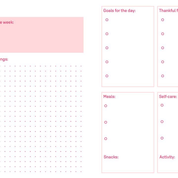 Nevele Official – wholesale Journal/diary – Thoughts & Wellness Journal1