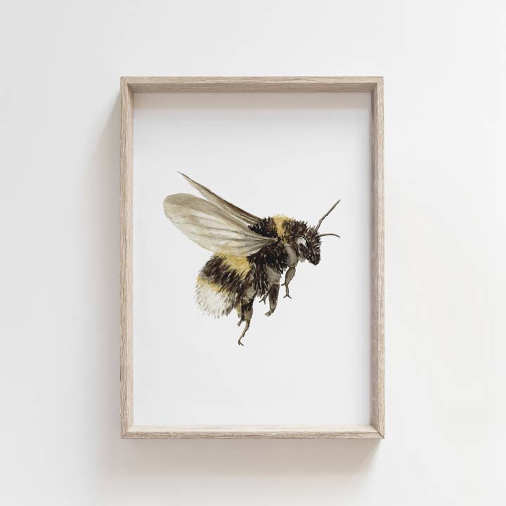 Feed & Dwell - Vendita all'ingrosso Stampa artistica - Stampa ad acquerello a forma di calabrone | Decorazione da parete con impollinatore da giardino