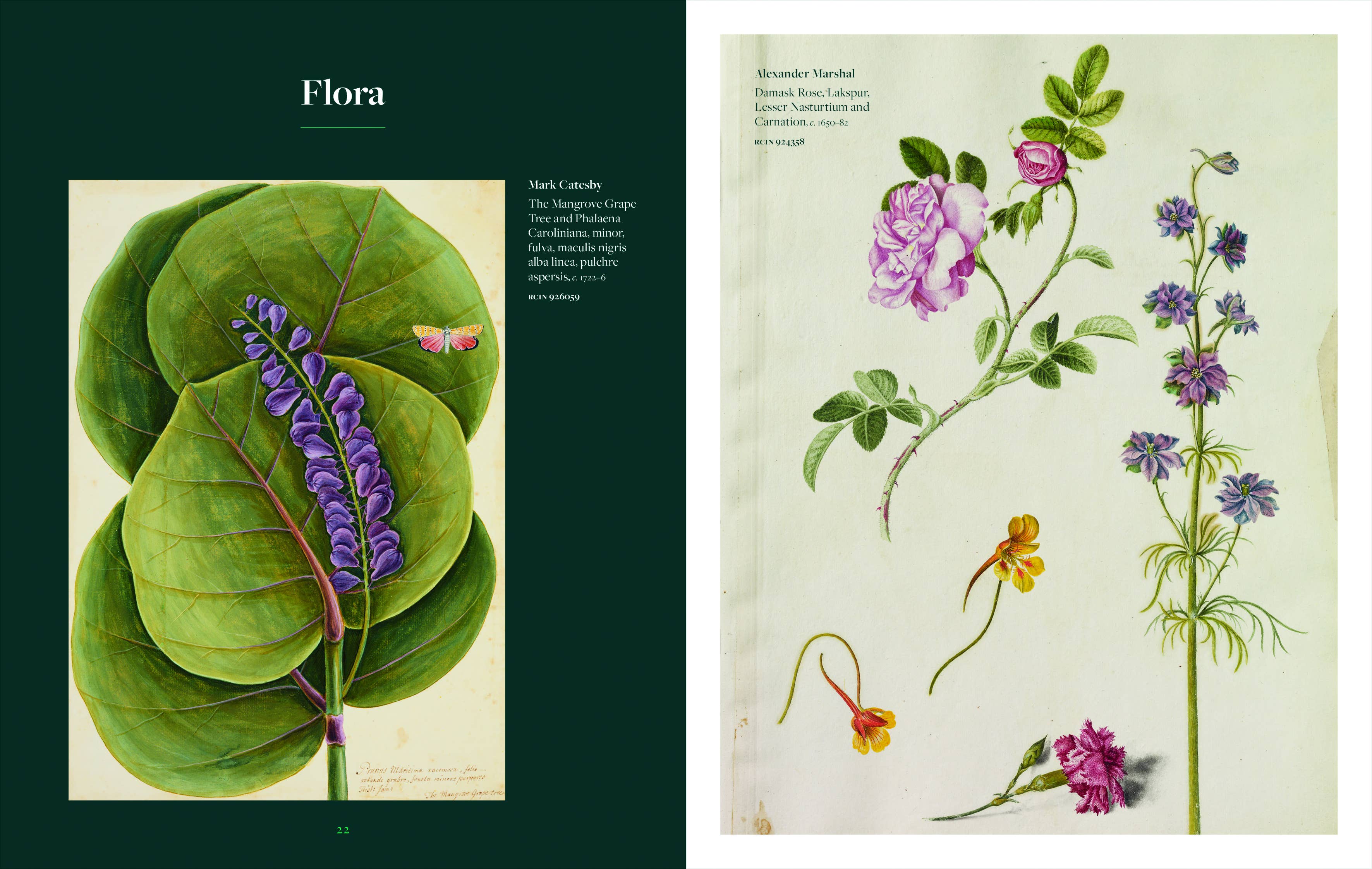 Thames and Hudson - Vente Nature et plein air - Botanicals2