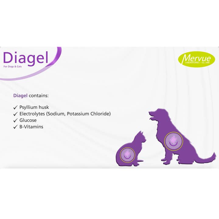 OurPetsLife - Wholesale Pet supplement – Dog - Diagel Digestive Support for Large Dogs1
