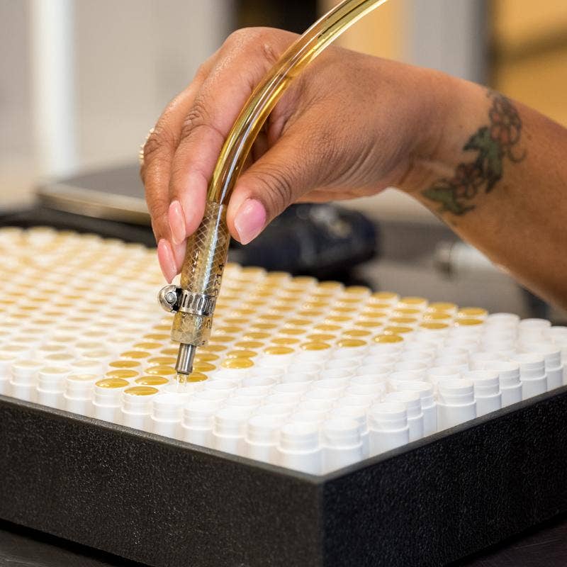 Thistle Farms - Vente Baumes à lèvres - Baume à lèvres | Lavande, Menthe Arbre à Thé, Non Parfumé7