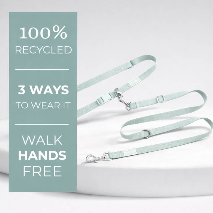 Correa Multifuncional para Perro - Eco para venta al por mayor de LOMI Pet Care