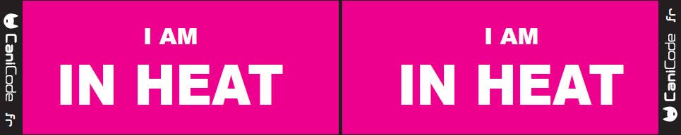 AniCode – Engroshandel Halsbåndscharms til kæledyr – Hund – Scratch CaniCode® til og fra, i løbetid3