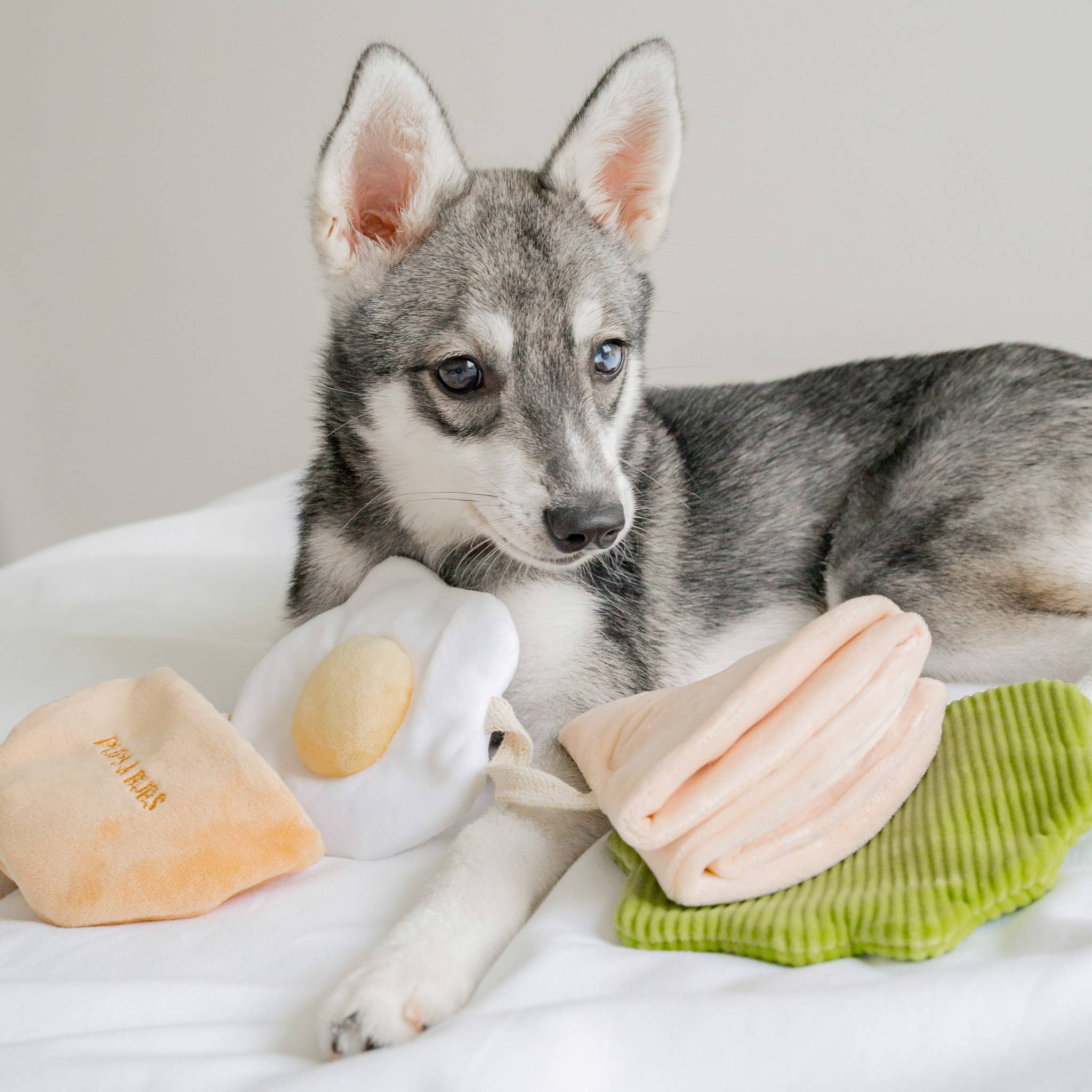 Pups & Bubs - Wholesale Pet Plush Toy - Dog - Pita Pocket Nosework Toy8