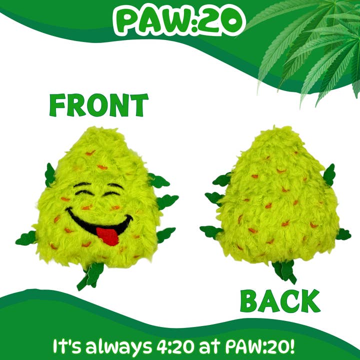 PAW:20 - Vente Jouet – chat - Bud Jr. le Bourgeon d'Herbe, Jouet Parodique en Peluche avec Herbe à Chat pour Chat2