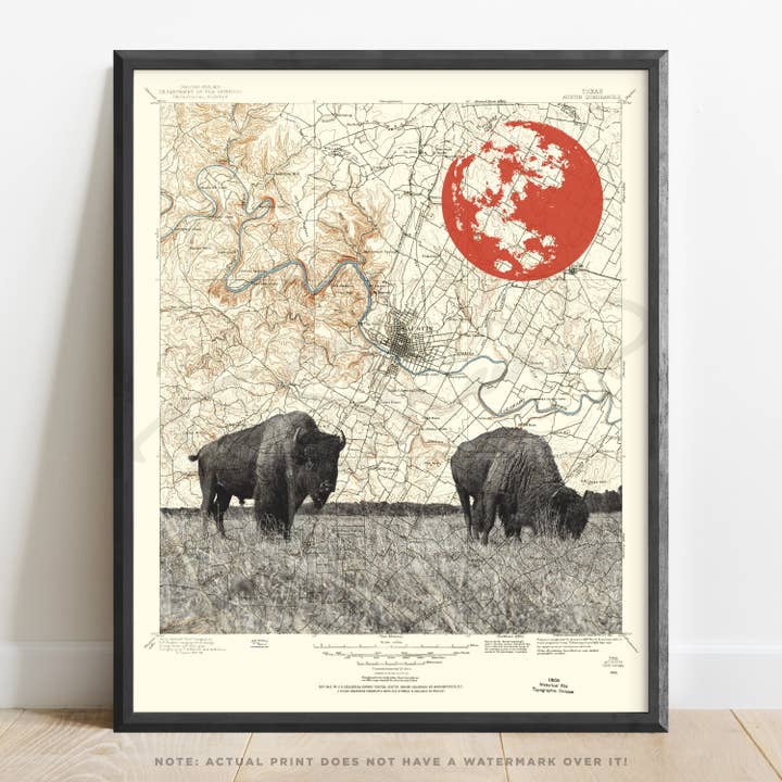 Texas | Austin Buffalo Kunstdruk op Topografische Kaart voor wholesale door T. Shaw Designs