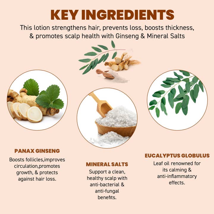 My Wholesale Warehouse – wholesale Haircare set/kit – Men's – Groomarang 'Power of Man' Hair and Beard Growth Kit- Groomarang Power of Man 3 in 1 Performance 'Hairloss Prevention Lotion' 100ml + Groomarang 'Rock n Roll' Beard and Hair Growth Roller - 0.5mm3