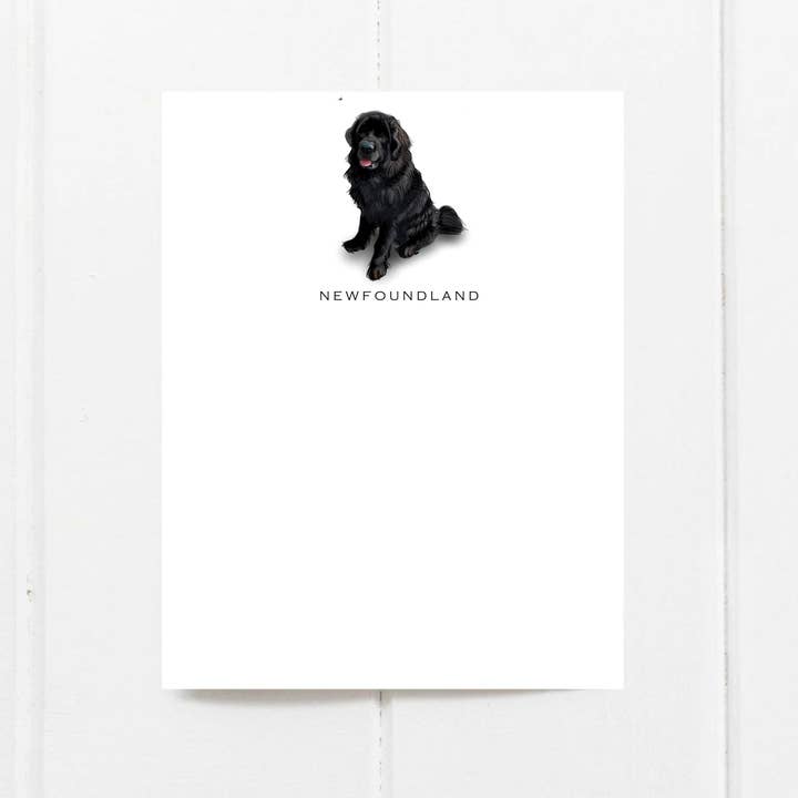 Dog Note Cards| Newfoundland Dog | Set of 6 | Flat Note Card for wholesale by Fable & Sage