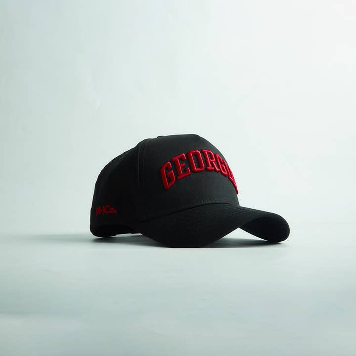 Destination Hat Co. - Wholesale Baseball Cap - Unisex - The Georgia Legacy Snapback3