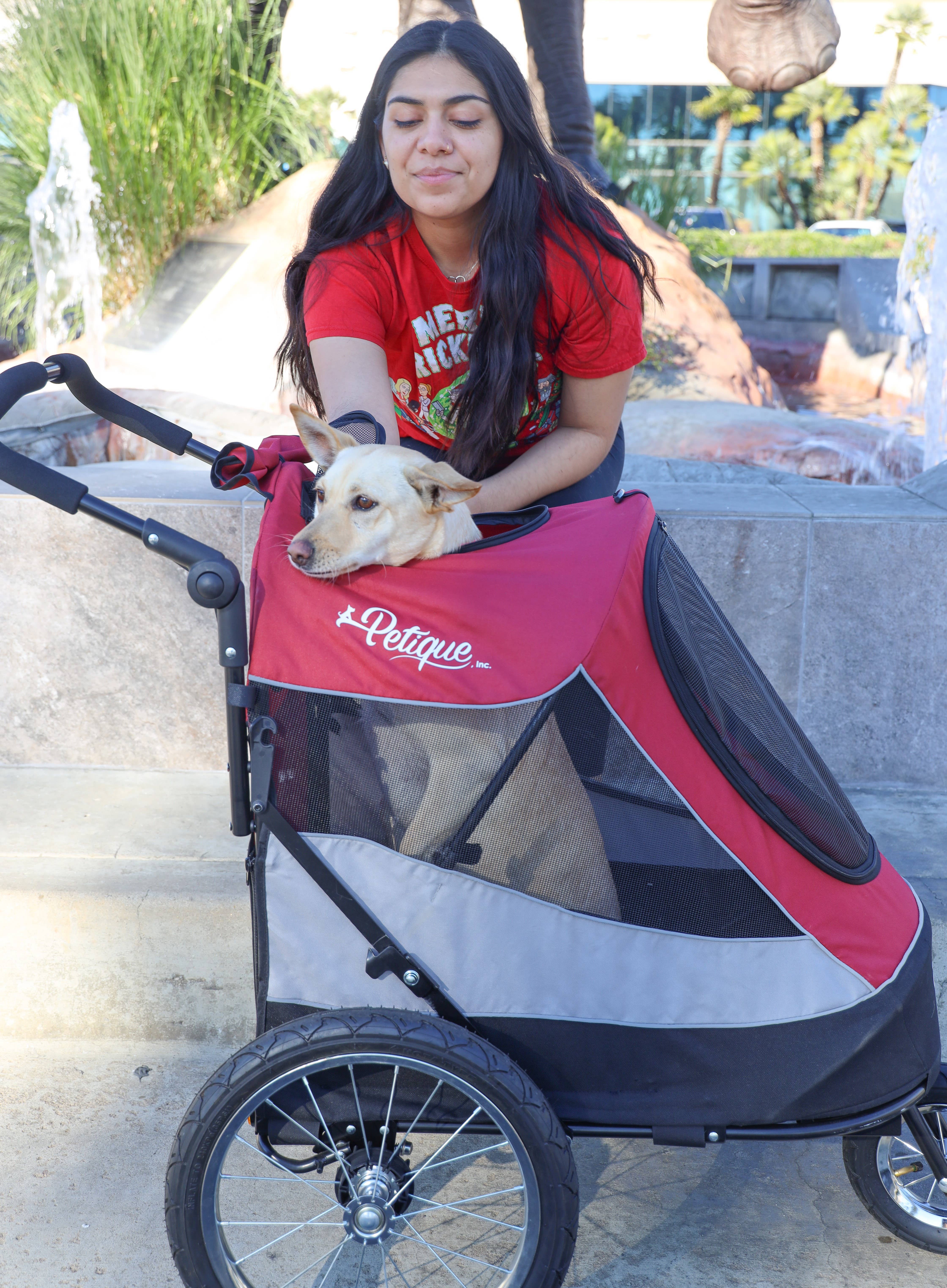 Only An Ocean Europe - Wholesale Pet Carrier - Cat/Dog - Petique Trailblazer Pet Jogger26