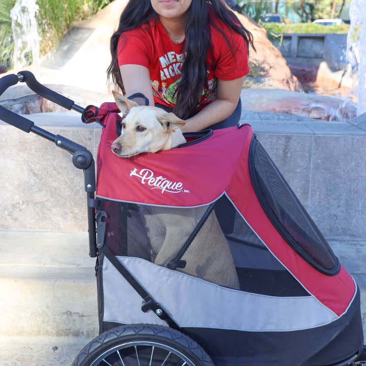 Only An Ocean Europe - Wholesale Pet Carrier - Cat/Dog - Petique Trailblazer Pet Jogger26