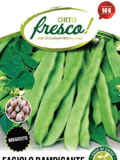 Climbing Bean Monachella or Mother-in-law and Daughter-in-law for wholesale by Sementi & Barbatelle