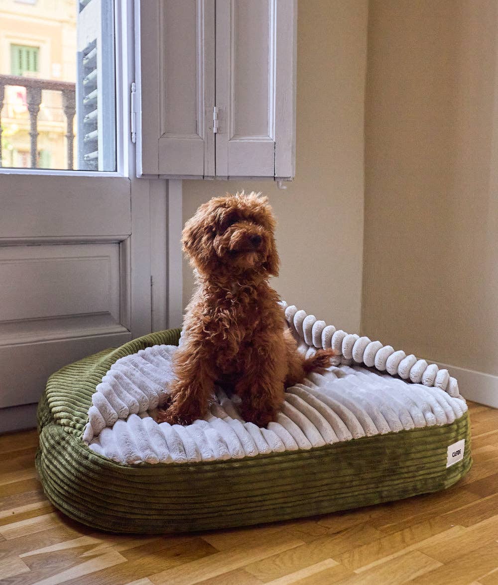 CAFIDE - Vendita all'ingrosso Letto - Cani - Letto per Cani con Cappuccio Verde Velluto, Maso3