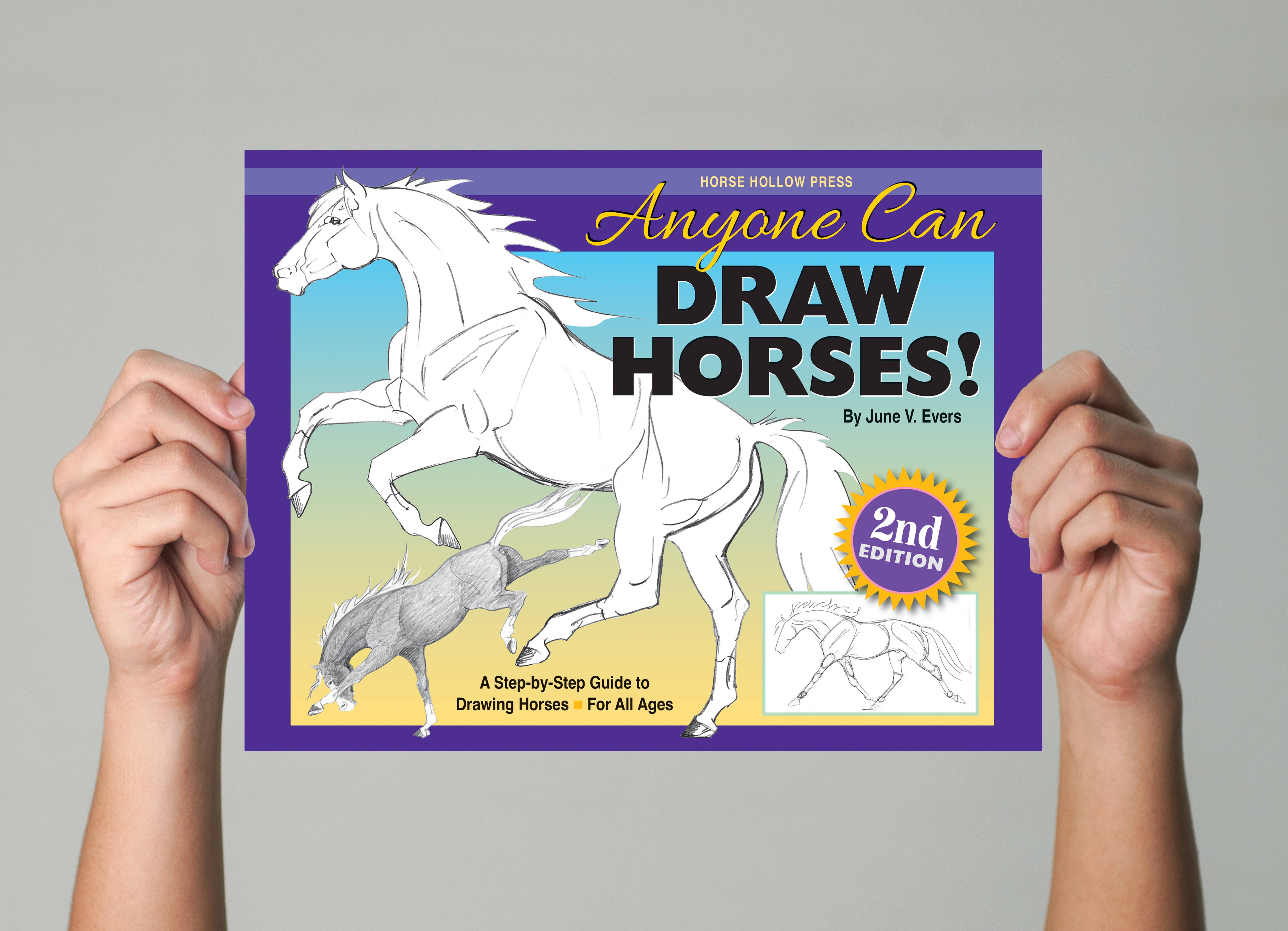 Horse Hollow Press / Pretty, Funny, Snarky Cards & Stickers - Wholesale Coloring & Activity Book - Adult - Art Book Horse Equestrian / Anyone Can Draw Horses / All Age13