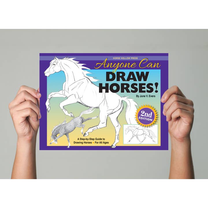 Horse Hollow Press - Wholesale Coloring & Activity Book - Adult - Art Book Horse Equestrian / Anyone Can Draw Horses / All Age14