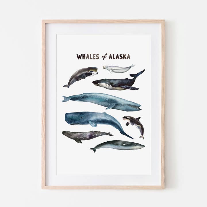 Whales of Alaska Art Print for wholesale by Broken Paddle Studio
