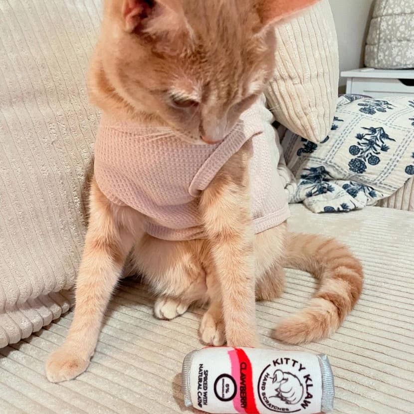 Huxley & Kent - Venta al por mayor Juguete - Gatos - Juguete para Gatos Kitty Klaw Clawberry5