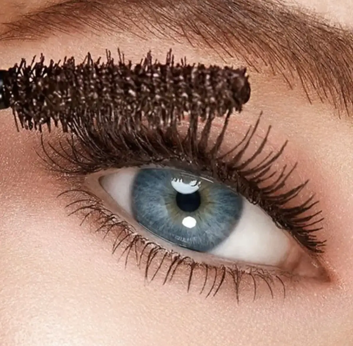 Elikya Beauty - Wholesale Mascara - Brown Mascara3