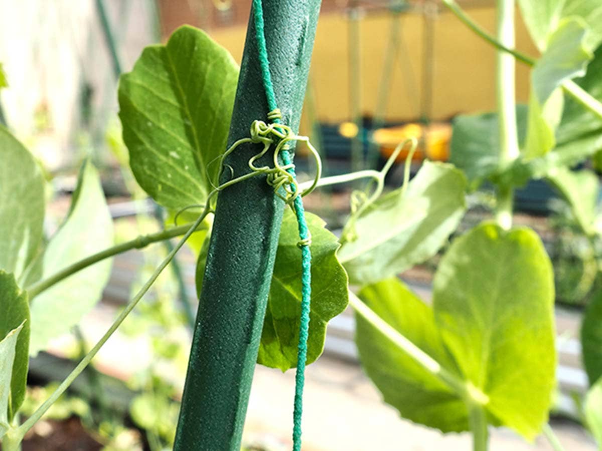 JARDIN Y NATURA OUTDOOR & GARDEN PRODUCTS SL - Wholesale Trellis - 150cm plasticized metal tutor - TUTOFIT 1504