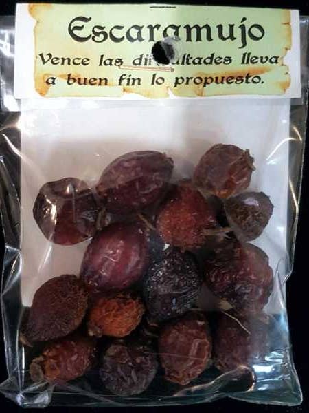 ROSEHIP HERB for wholesale by El Alquimista