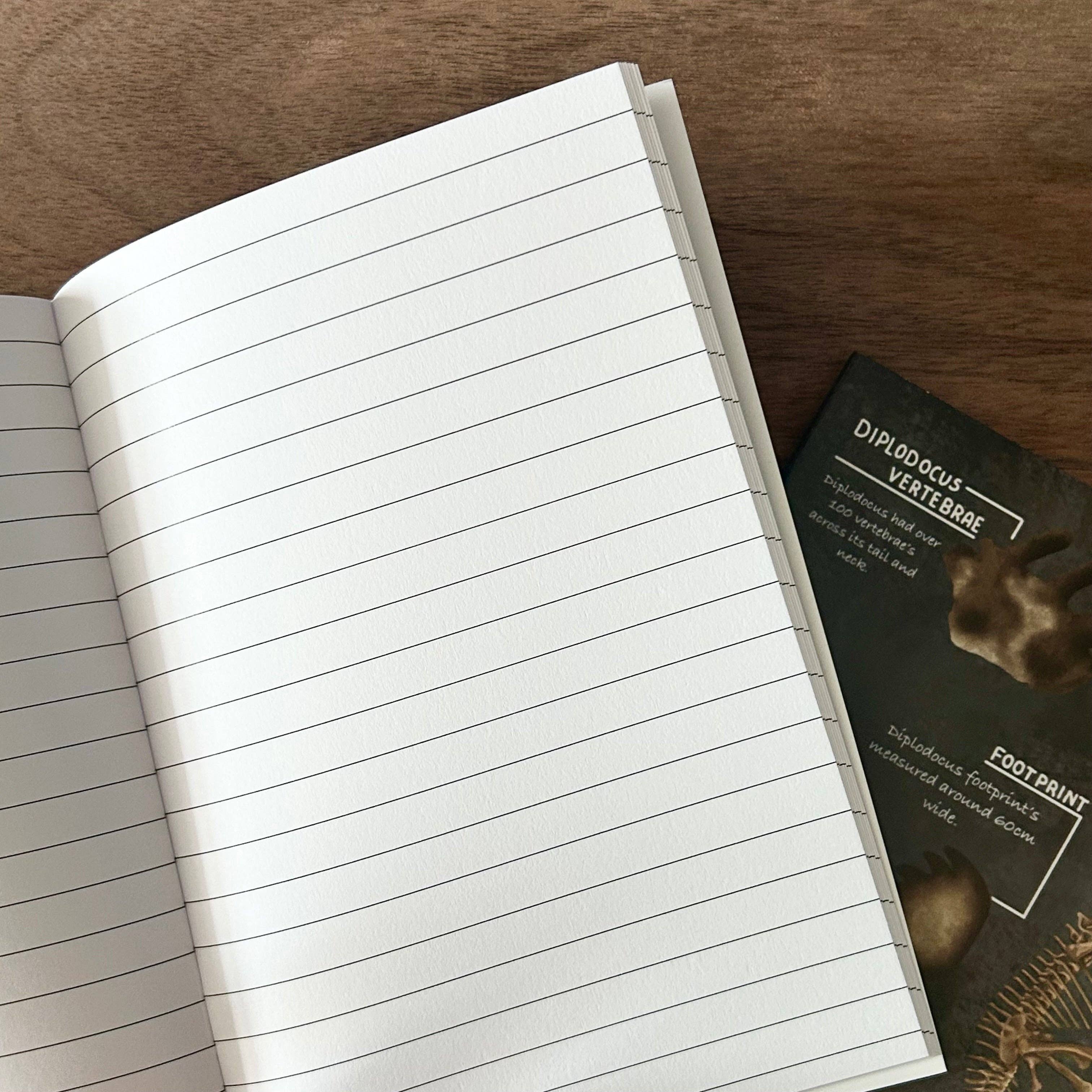 Write Your Story – wholesale Notebook – A6 Diplodocus Notebook2