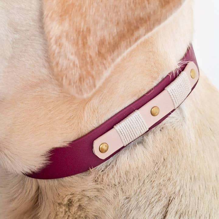 Dog Collar - Biothane Signature - Raspberry for wholesale by Truffe & Flair