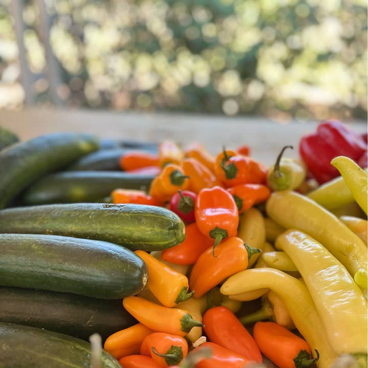 Natural Blonde Mix - Wholesale Cocktail Mix/Syrup - Natural Blonde Spicy Bloody Mary Mix - Cocktail Mixer2