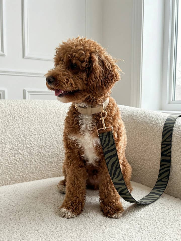 Leine Vert voor wholesale door Meilleur Ami