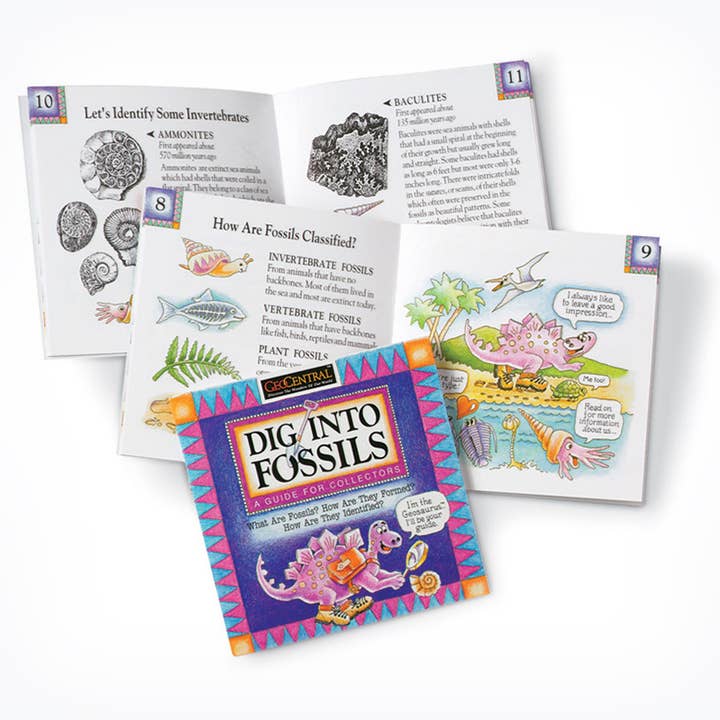 GeoCentral - Wholesale Early Reader Book (6-8) - Dig Into Fossils Book1