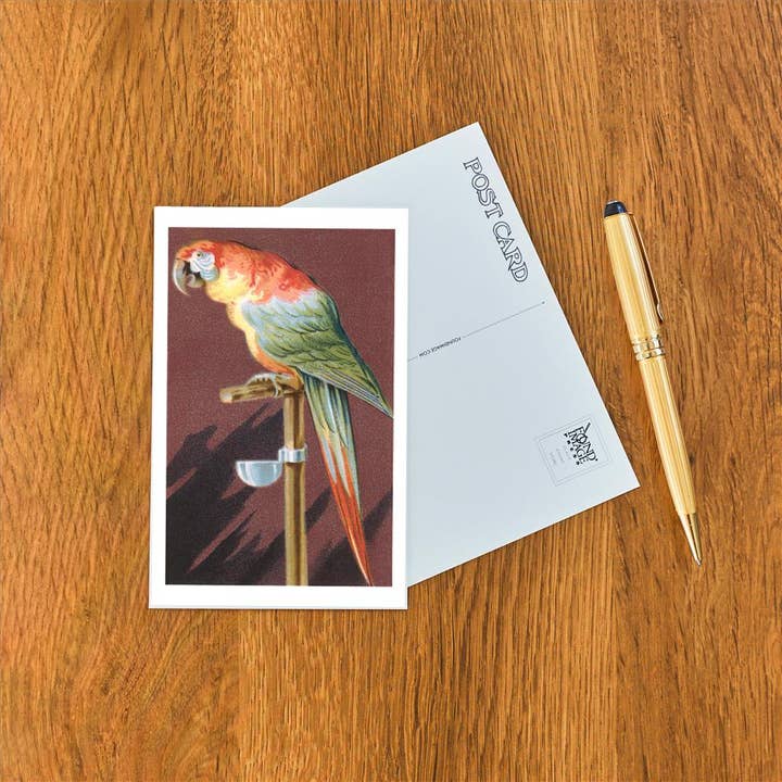 Found Image Press - Wholesale Postcard - Postcard BD-86 Macaw on Perch1