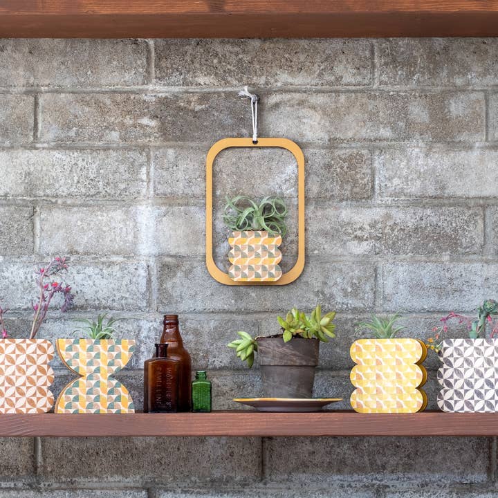 Stacy Wong – Engroshandel Vase – Kammusling Geometrisk Væg+ Bordplade Vase Planter4