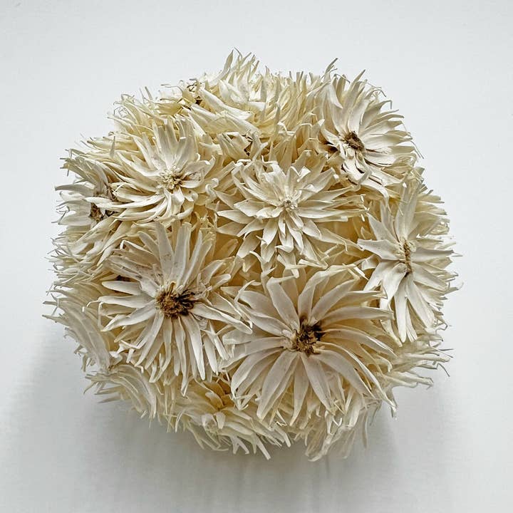 2626 Designs - Wholesale Artificial Plant - Box of 4 Preserved Decorative Conifer Pinecone Topiary Balls