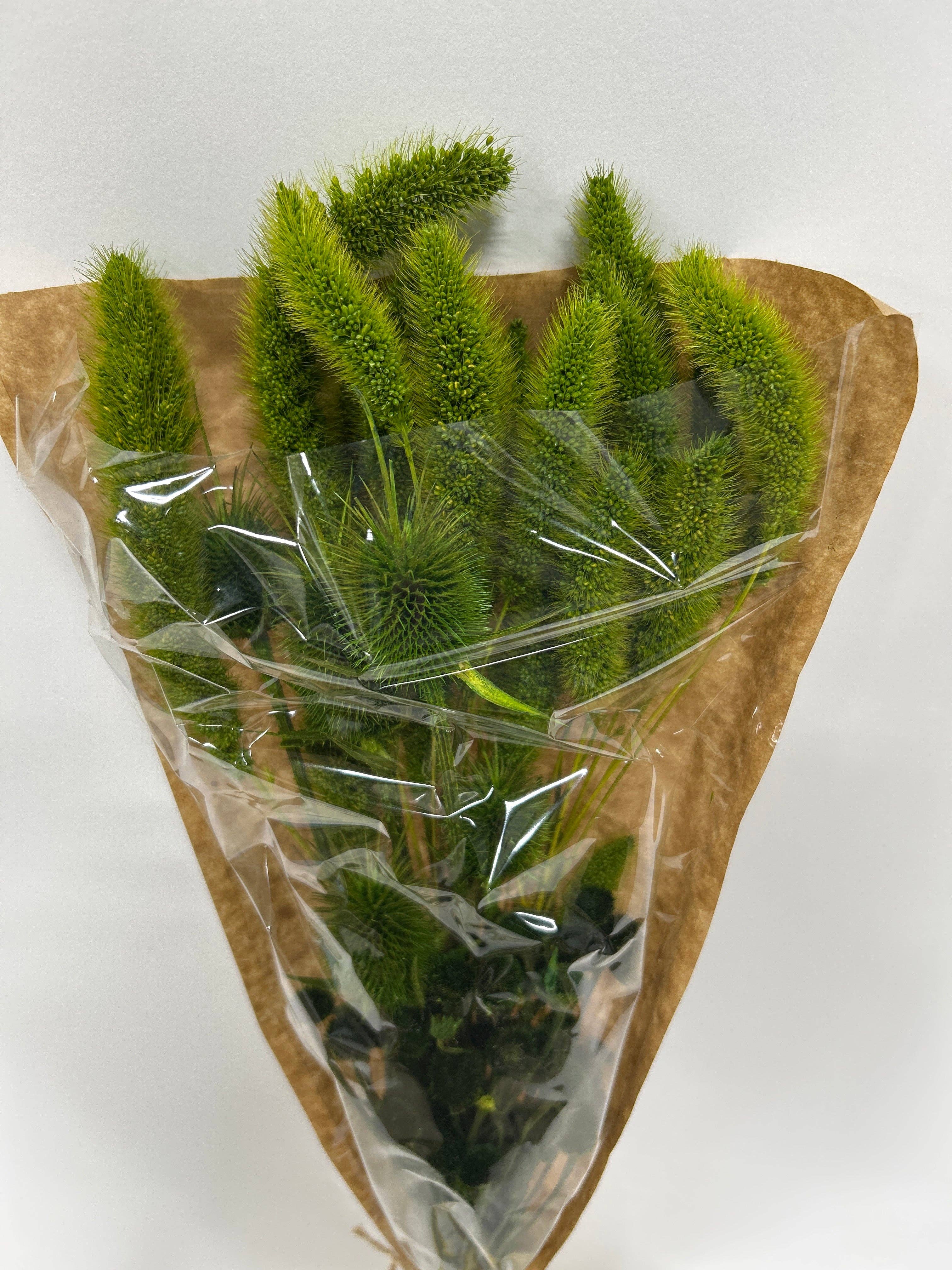 GS Foliage - Vendita all'ingrosso Fiori secchi/pressati - Bouquet di fiori secchi misti con cardo, confezione da 91