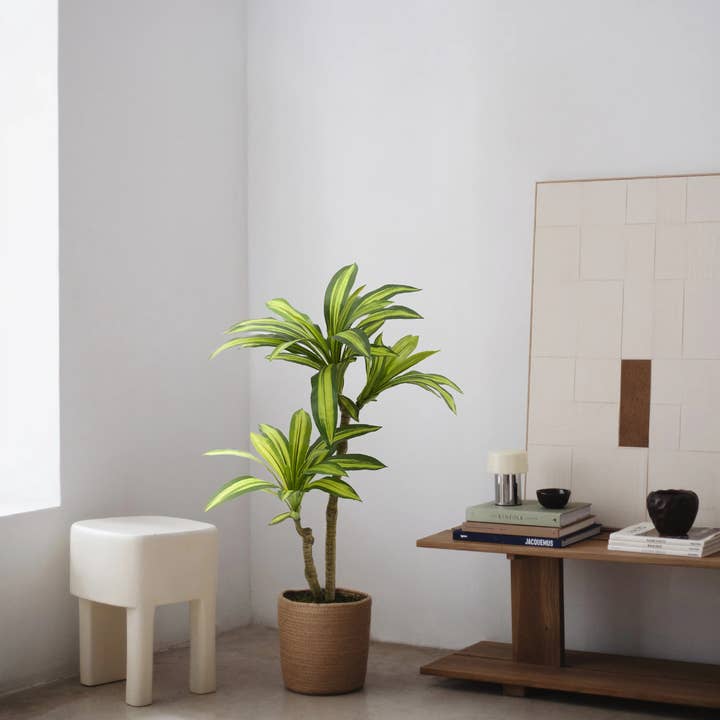 Maia Shop: No Duties for the US - Wholesale Artificial Plant - 3.5' Artificial Dracaena Tree2