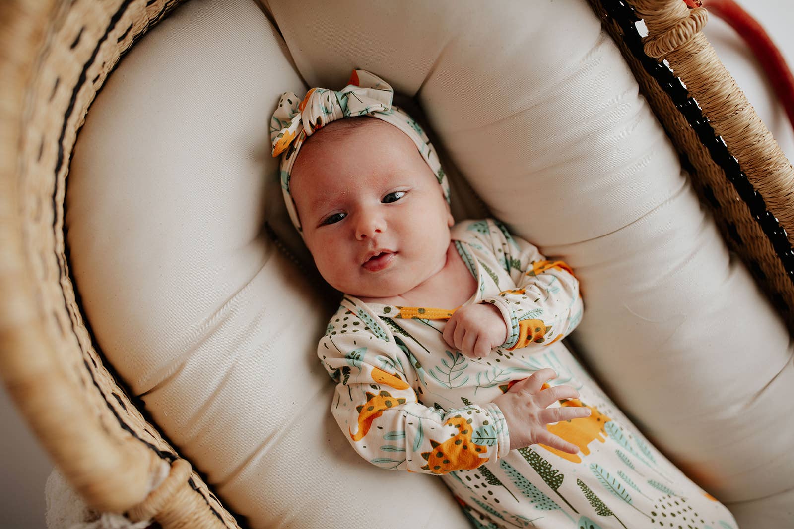 Three Little Tots - Wholesale Babygown - Baby - Dinosaur Animal Print Zoo Knotted Gown32