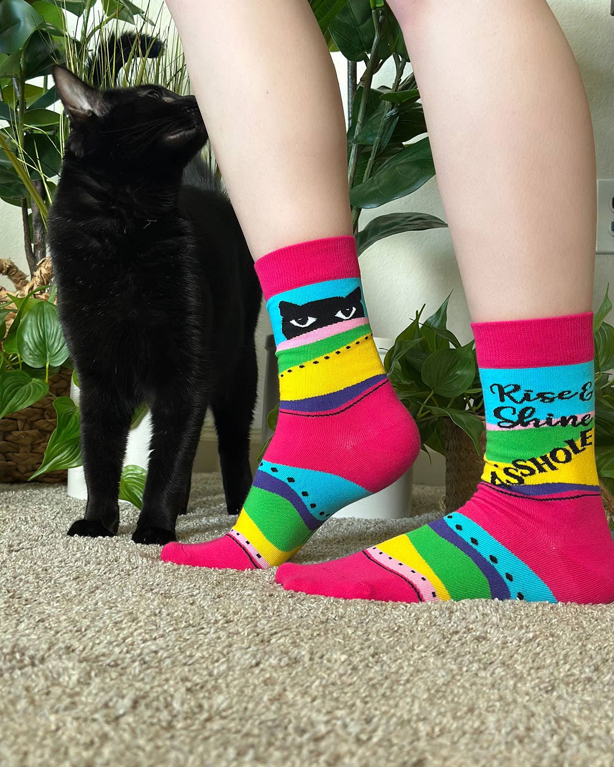 Fabdaz - Wholesale Socks - Women's - Rise and Shine Asshole Women's Crew Socks With Cats3