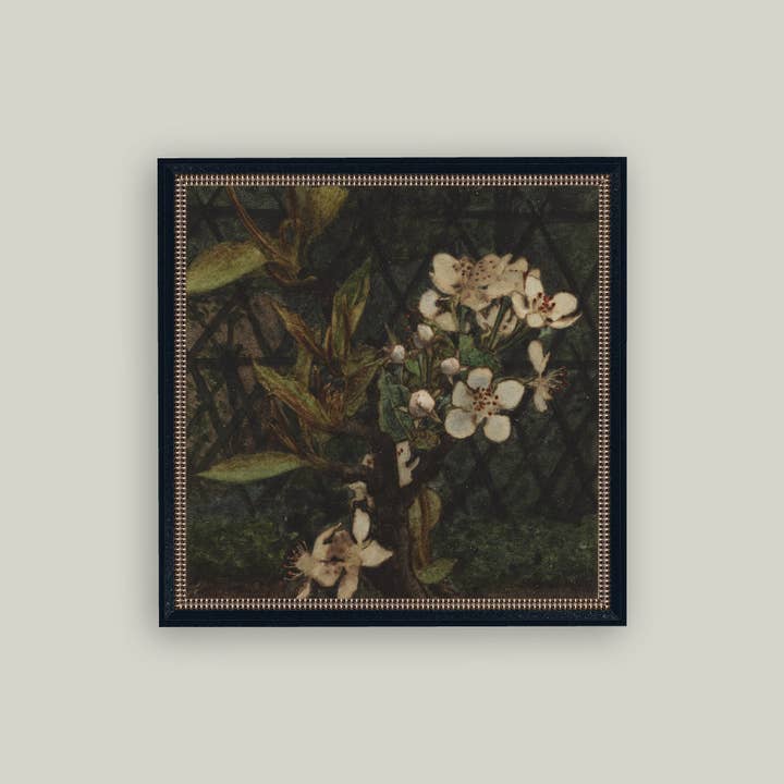 Petal Lane Home - Wholesale Wall Art Set - Dark Apple Blossoms Framed Antique Art
