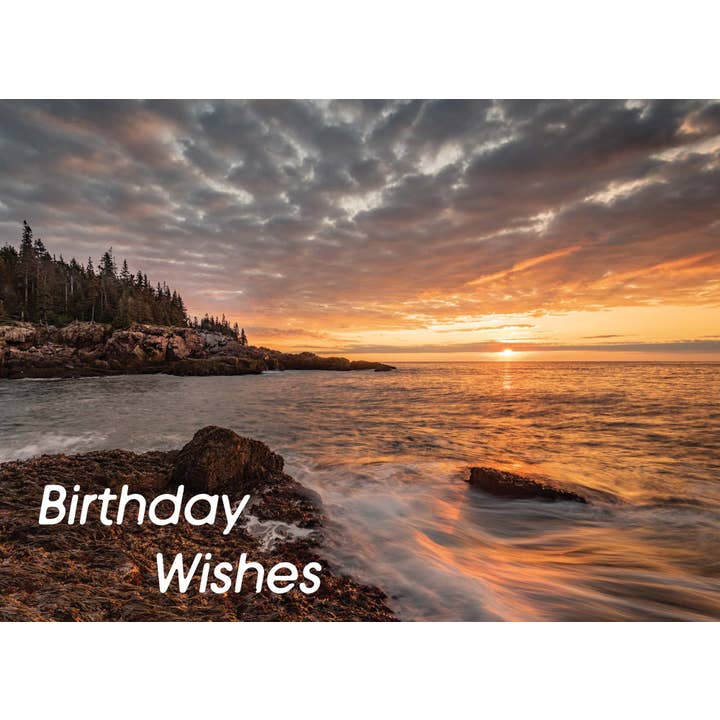 Crown Point Graphics - Wholesale Birthday Card - Celebrations - 48 Assorted Birthday Cards by Shared Blessings46