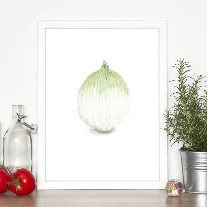 Pintura de cebola em aquarela, arte de cozinha, impressão de vegetais, arte de cebola, cebola branca, arte de planta de jardim por atacado de Emilie Taylor