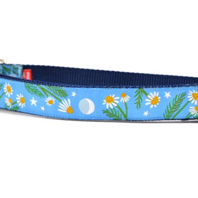 Chamomile-Light Blue for wholesale by six point pet