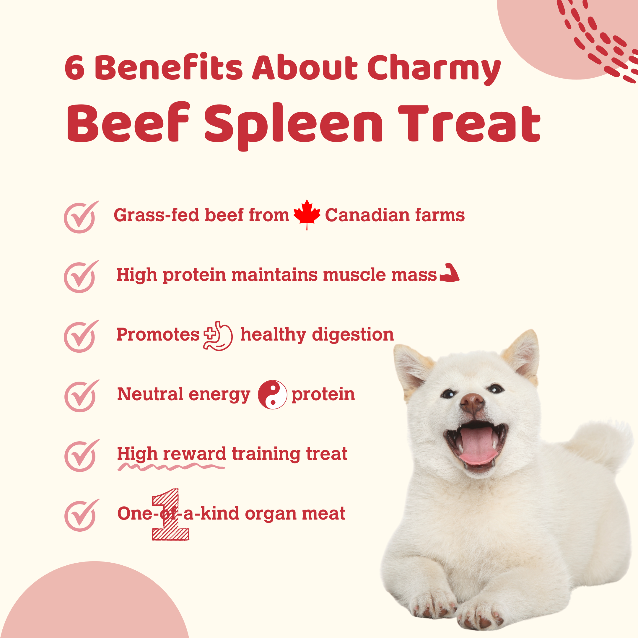 Charmy Pet - Wholesale Pet Treats - Dog - BEEF SPLEEN1