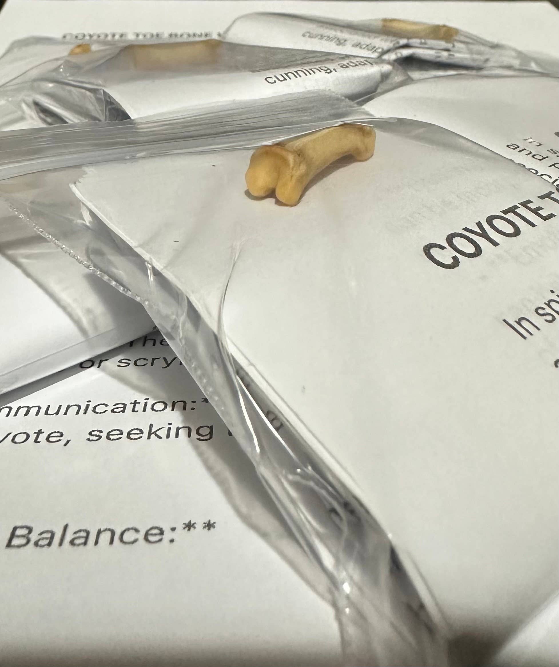 Readings by Judie Team - Wholesale Spiritual Stone/Crystal - Coyote Toe Bone w/ Info & Instructions0