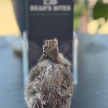 Bear's Bites, LLC - Wholesale Pet Treats - Dog - Rabbit head dog chews1