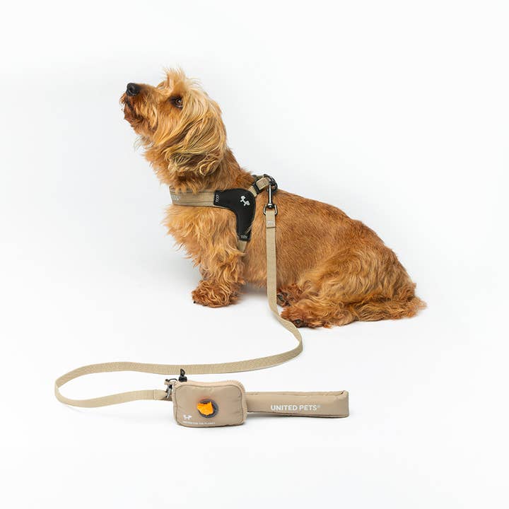 United Pets - Wholesale Pet Leash - Dog - Dog Padded Soft Leash12