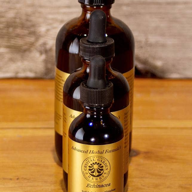 Echinacea for wholesale by Crystal Garden Herbs