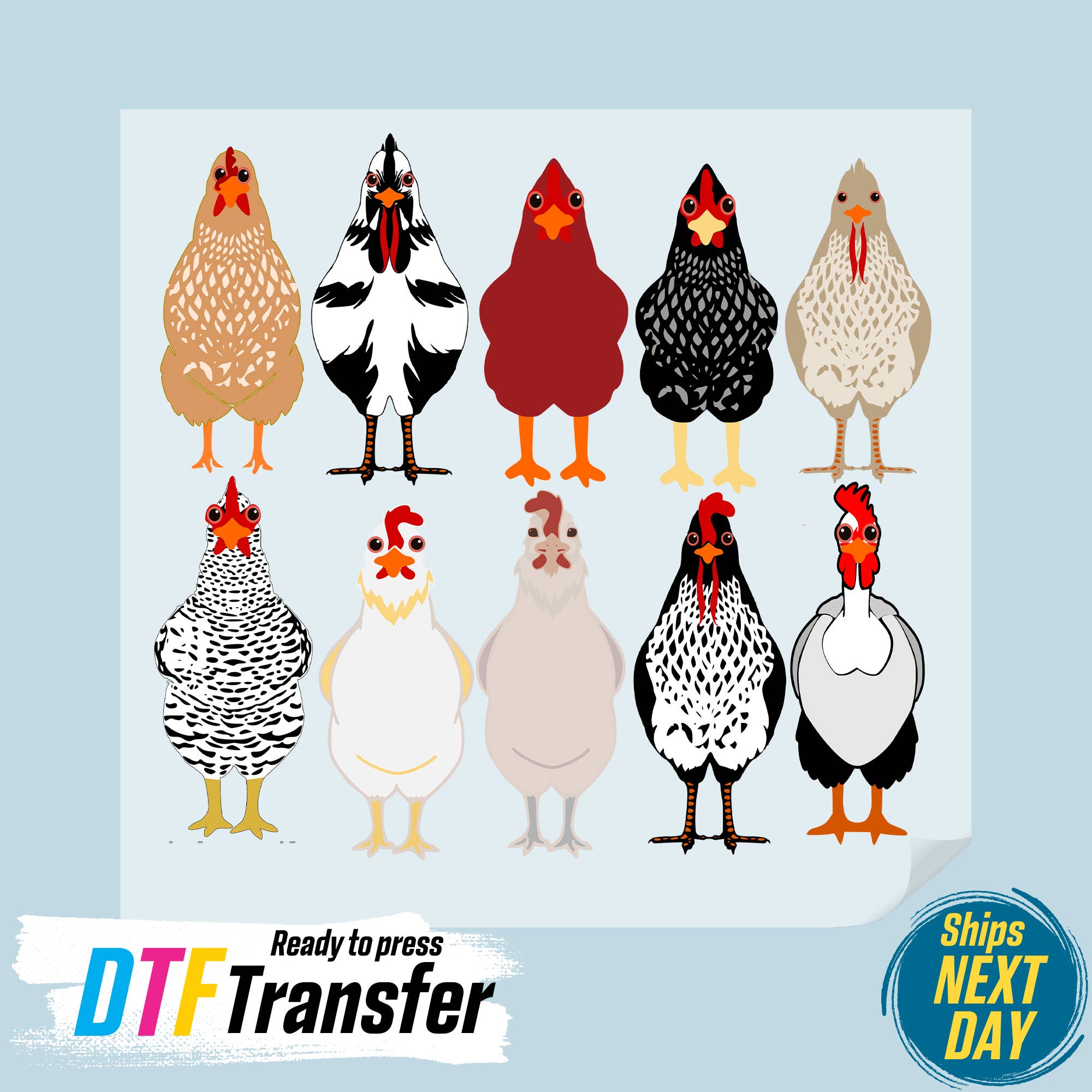 DTF Office - Wholesale Sublimation Transfer - Chickens DTF Transfer